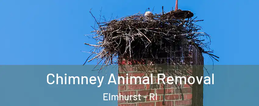 Chimney Animal Removal Elmhurst - RI