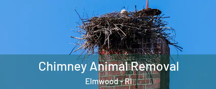 Chimney Animal Removal Elmwood - RI