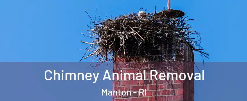 Chimney Animal Removal Manton - RI