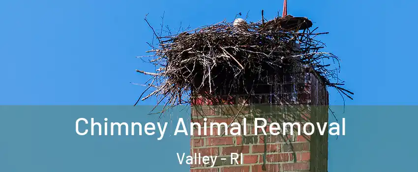 Chimney Animal Removal Valley - RI