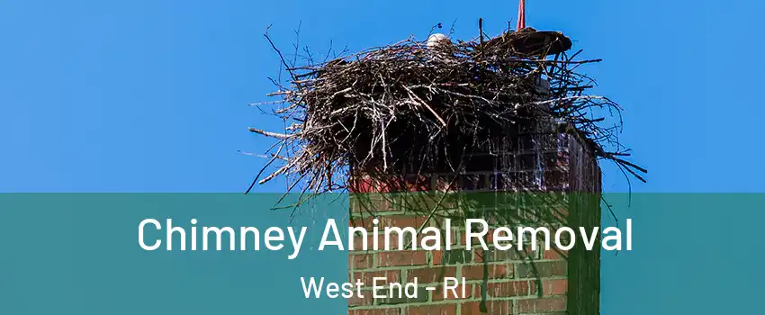 Chimney Animal Removal West End - RI