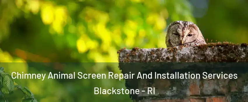 Chimney Animal Screen Repair And Installation Services Blackstone - RI