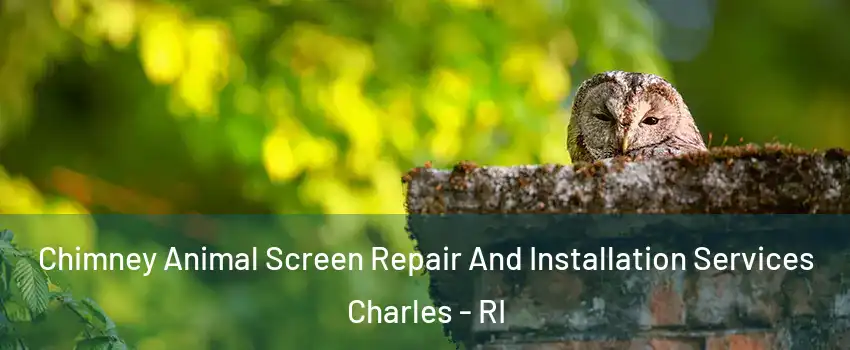 Chimney Animal Screen Repair And Installation Services Charles - RI