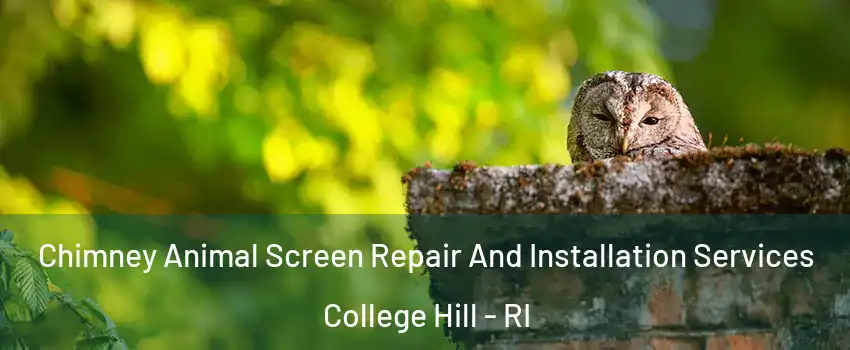 Chimney Animal Screen Repair And Installation Services College Hill - RI