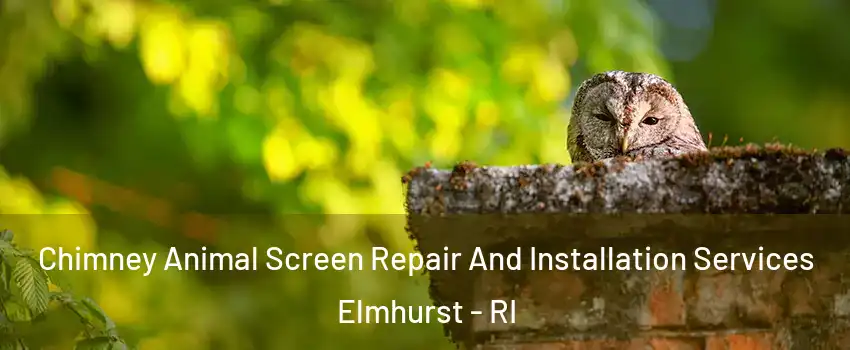 Chimney Animal Screen Repair And Installation Services Elmhurst - RI