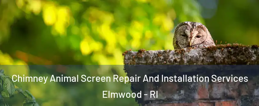 Chimney Animal Screen Repair And Installation Services Elmwood - RI