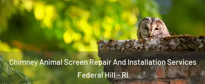 Chimney Animal Screen Repair And Installation Services Federal Hill - RI