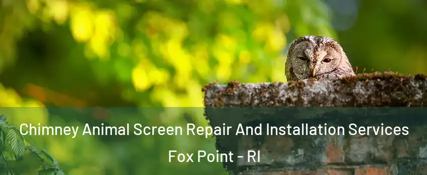 Chimney Animal Screen Repair And Installation Services Fox Point - RI