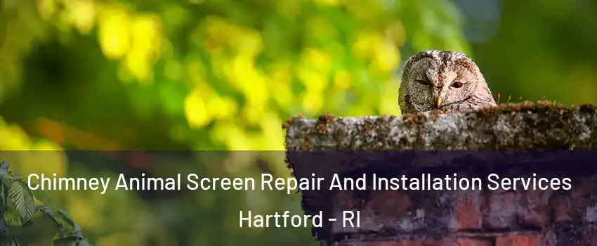 Chimney Animal Screen Repair And Installation Services Hartford - RI