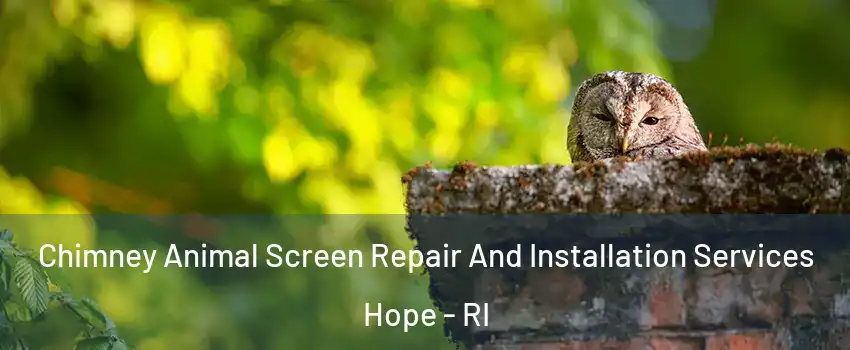 Chimney Animal Screen Repair And Installation Services Hope - RI