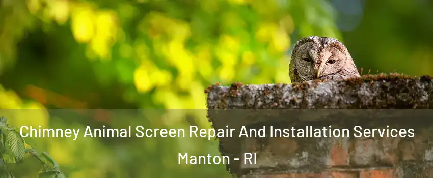 Chimney Animal Screen Repair And Installation Services Manton - RI