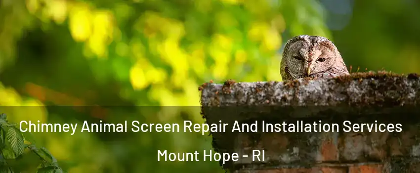 Chimney Animal Screen Repair And Installation Services Mount Hope - RI