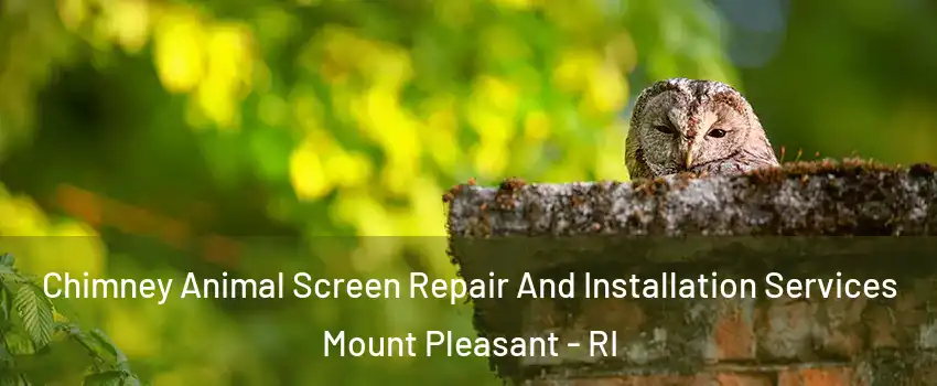 Chimney Animal Screen Repair And Installation Services Mount Pleasant - RI