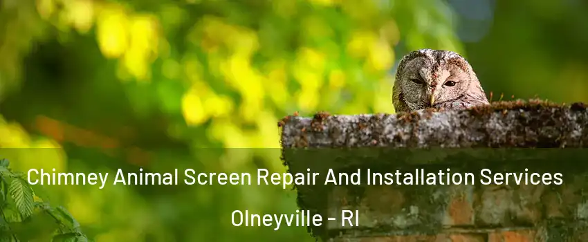 Chimney Animal Screen Repair And Installation Services Olneyville - RI