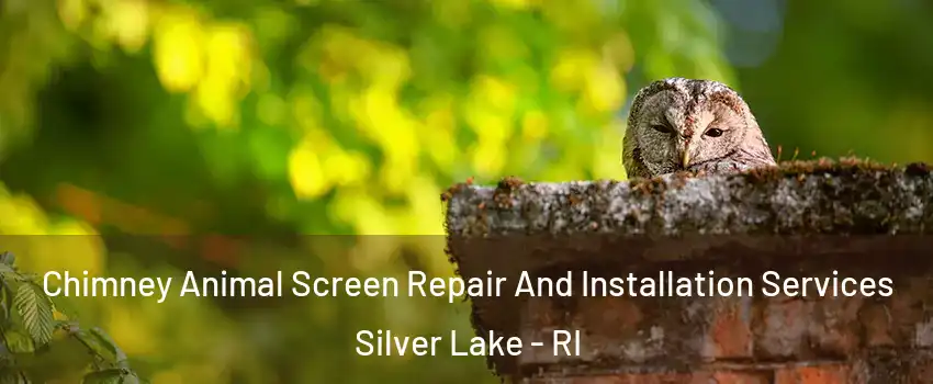 Chimney Animal Screen Repair And Installation Services Silver Lake - RI