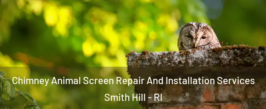 Chimney Animal Screen Repair And Installation Services Smith Hill - RI