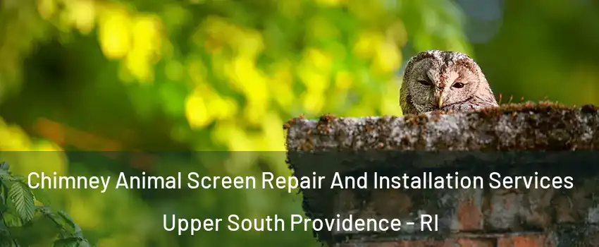 Chimney Animal Screen Repair And Installation Services Upper South Providence - RI