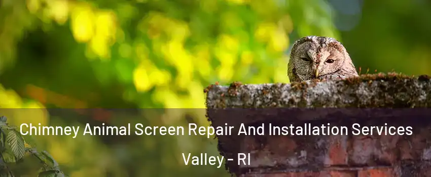 Chimney Animal Screen Repair And Installation Services Valley - RI