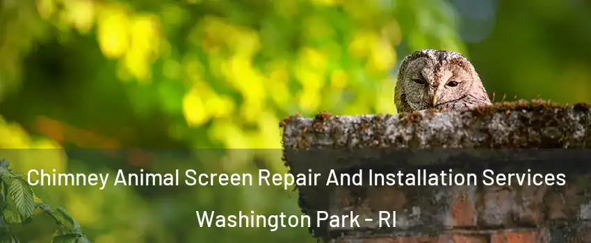 Chimney Animal Screen Repair And Installation Services Washington Park - RI