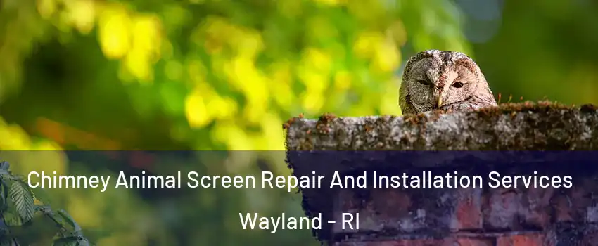 Chimney Animal Screen Repair And Installation Services Wayland - RI