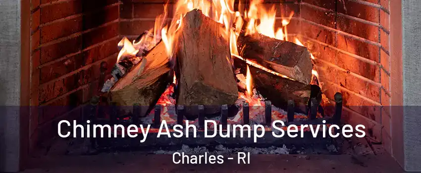 Chimney Ash Dump Services Charles - RI