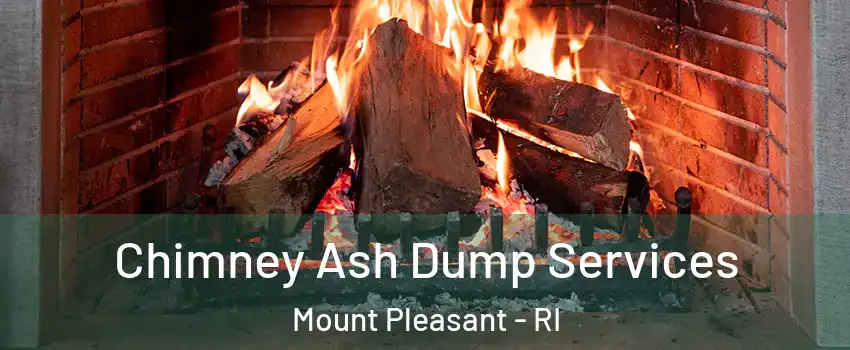 Chimney Ash Dump Services Mount Pleasant - RI