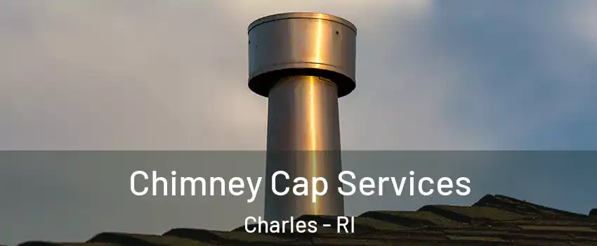 Chimney Cap Services Charles - RI