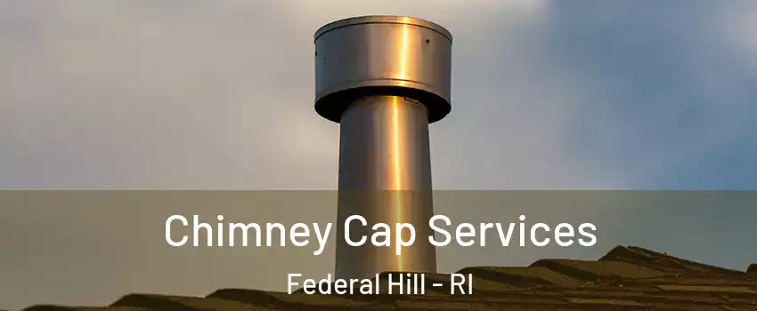 Chimney Cap Services Federal Hill - RI