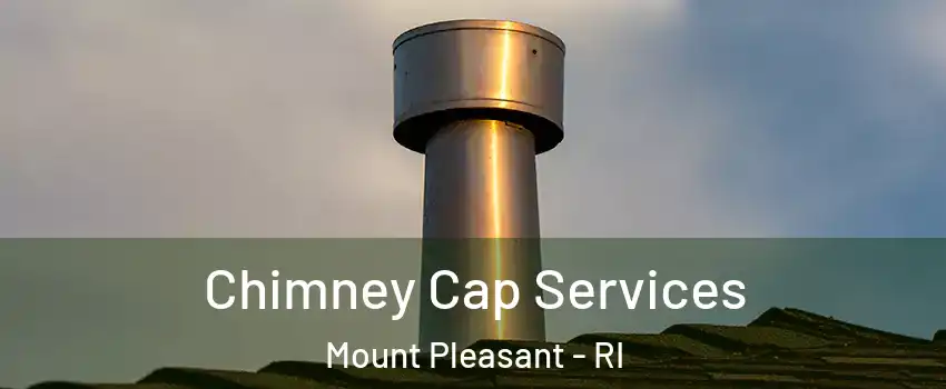 Chimney Cap Services Mount Pleasant - RI