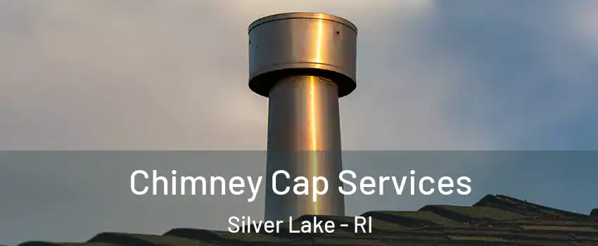 Chimney Cap Services Silver Lake - RI