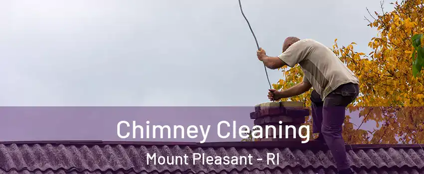 Chimney Cleaning Mount Pleasant - RI