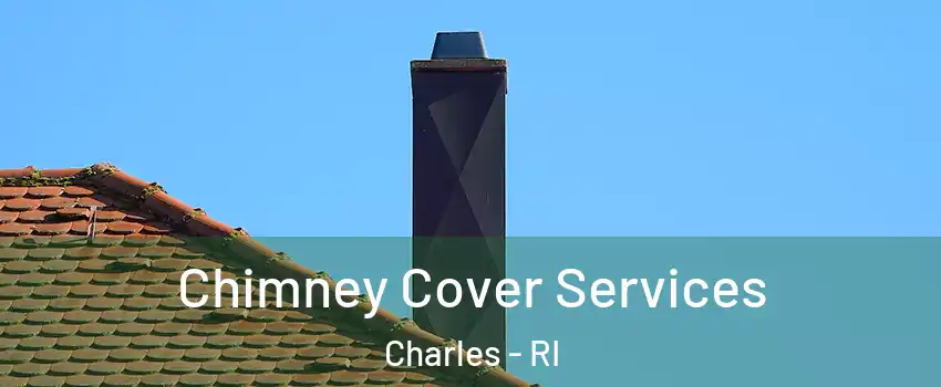 Chimney Cover Services Charles - RI