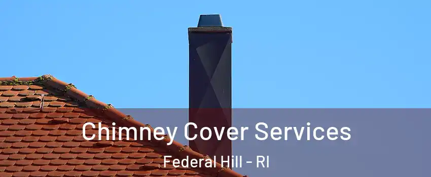 Chimney Cover Services Federal Hill - RI