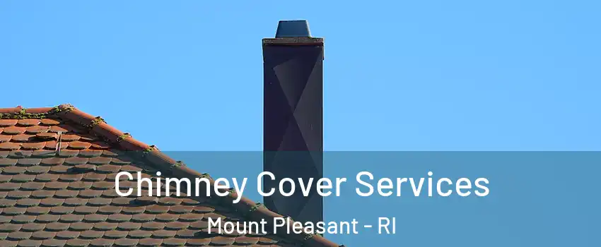 Chimney Cover Services Mount Pleasant - RI