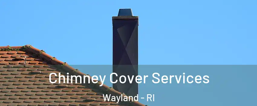 Chimney Cover Services Wayland - RI