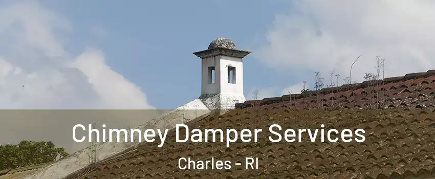 Chimney Damper Services Charles - RI