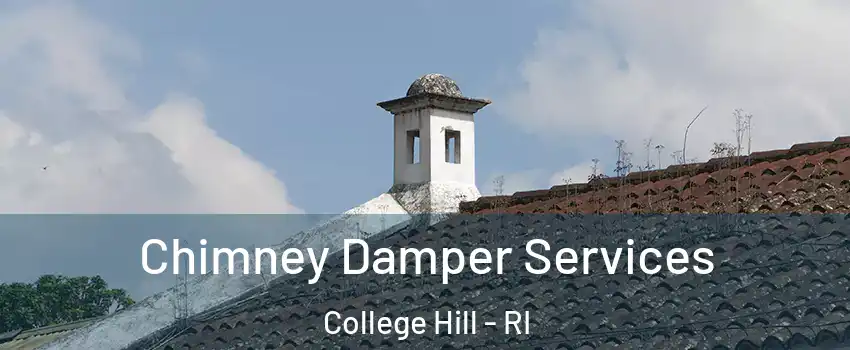 Chimney Damper Services College Hill - RI