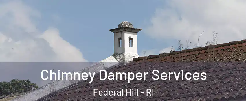 Chimney Damper Services Federal Hill - RI