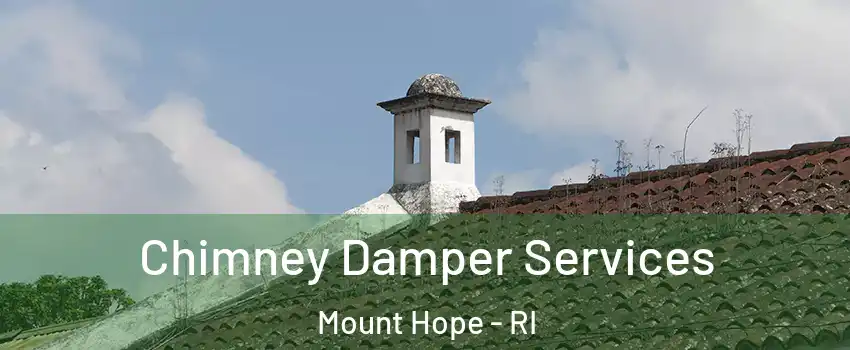 Chimney Damper Services Mount Hope - RI