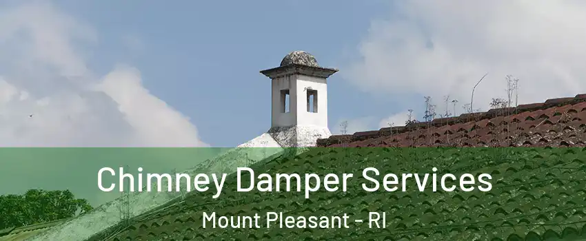 Chimney Damper Services Mount Pleasant - RI