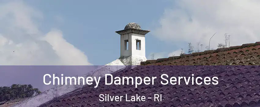 Chimney Damper Services Silver Lake - RI