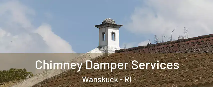 Chimney Damper Services Wanskuck - RI