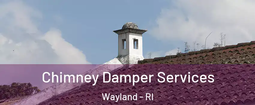 Chimney Damper Services Wayland - RI