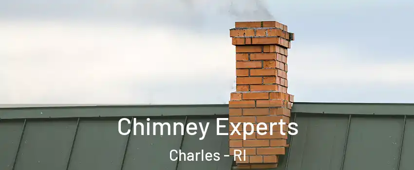 Chimney Experts Charles - RI