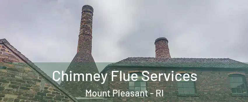 Chimney Flue Services Mount Pleasant - RI