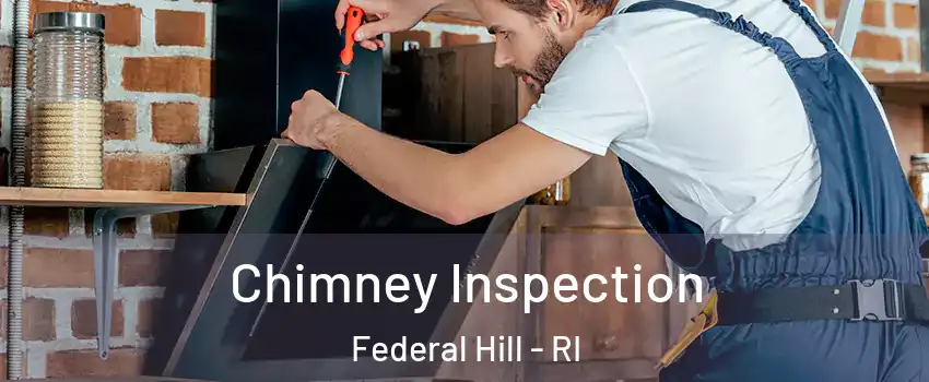 Chimney Inspection Federal Hill - RI