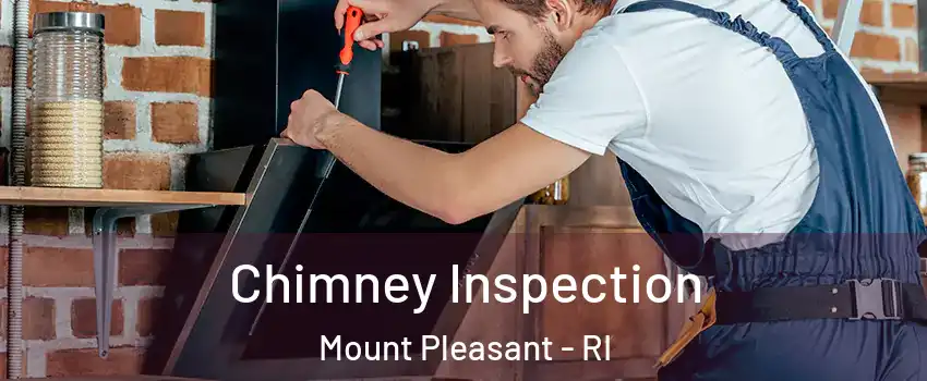 Chimney Inspection Mount Pleasant - RI