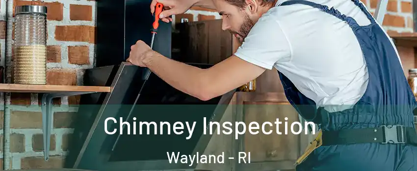 Chimney Inspection Wayland - RI