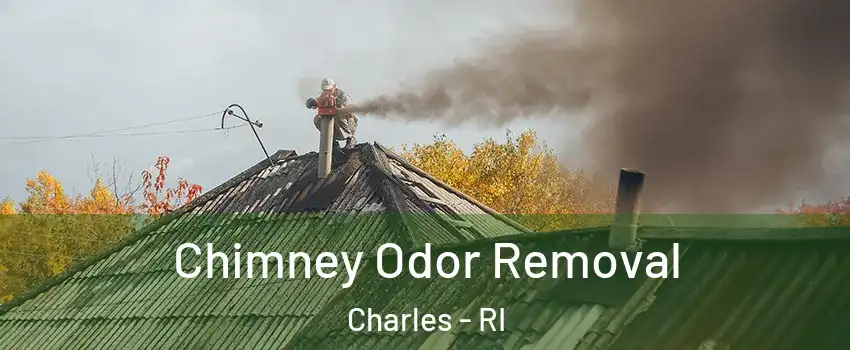 Chimney Odor Removal Charles - RI