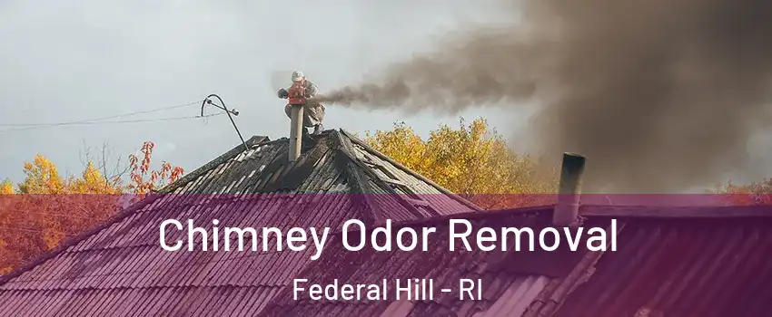 Chimney Odor Removal Federal Hill - RI